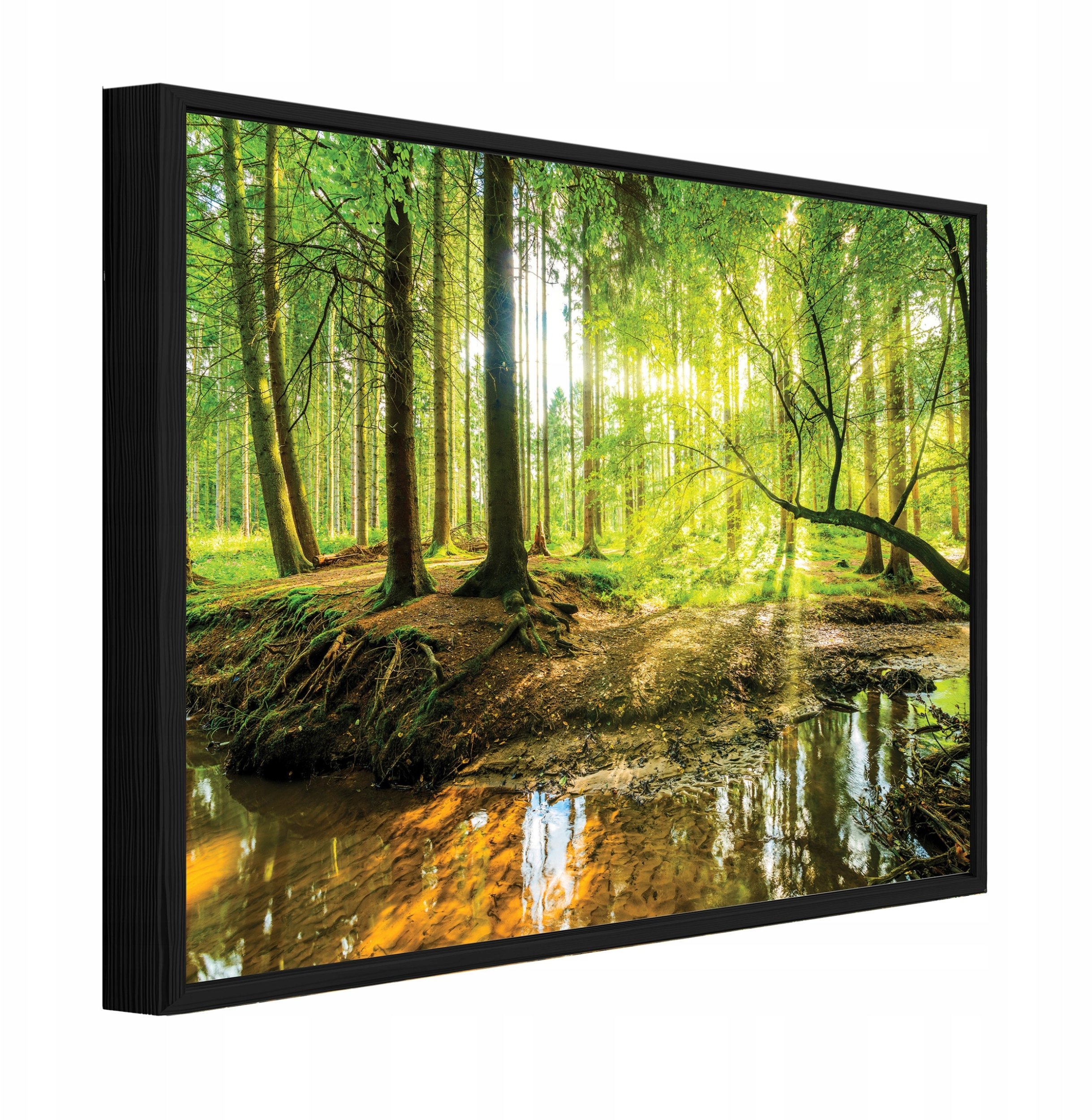 Obraz W Ramie Na Płótnie Las Drzewa Do Sypialni Salonu 120x80