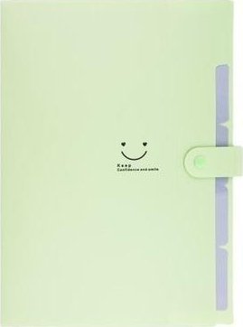 Teczka plastikowa A4 z 5 przegródkami zielona