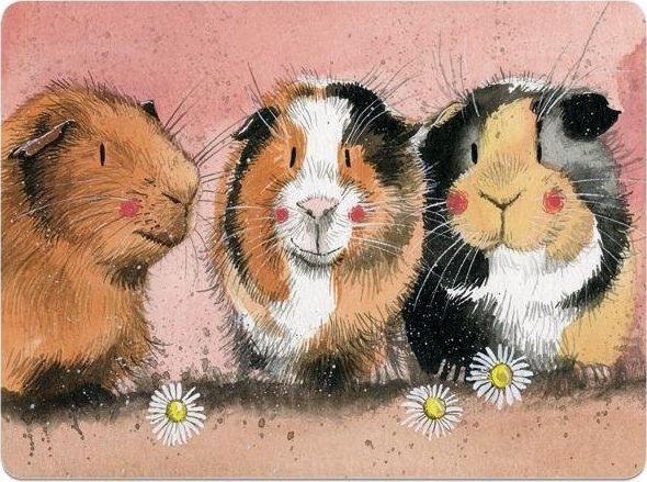 Podkładka pod talerz MT33 Świnki morskie