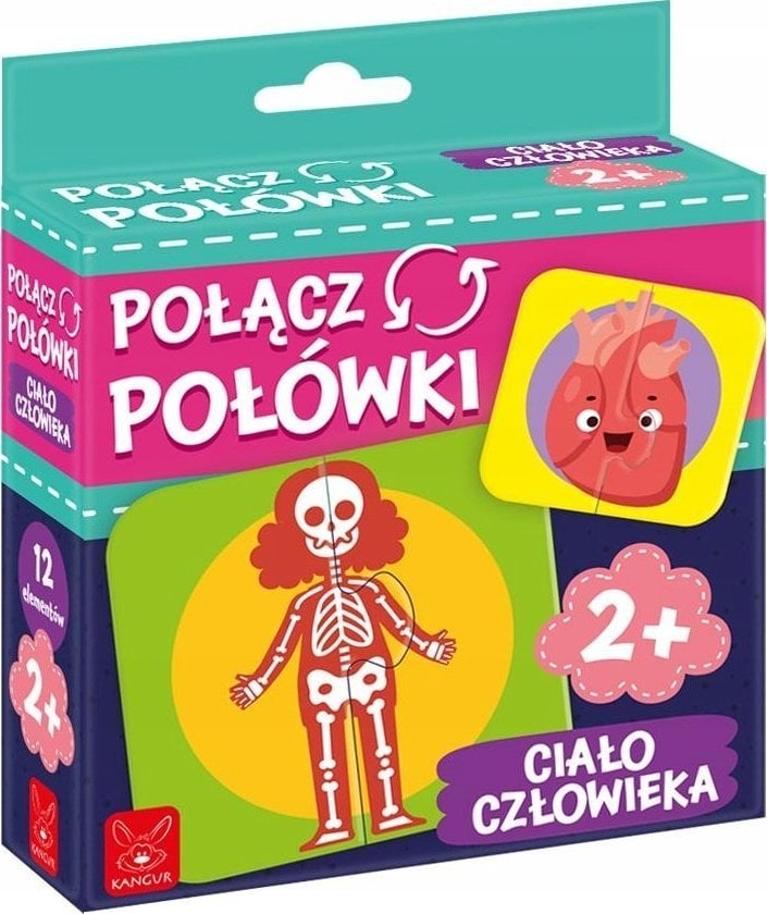 Kangur Połącz połówki Ciało człowieka 41305