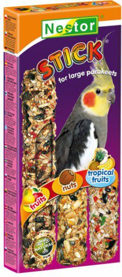 Nestor KOLBA 3w1 PAPUGA ŚREDNIA