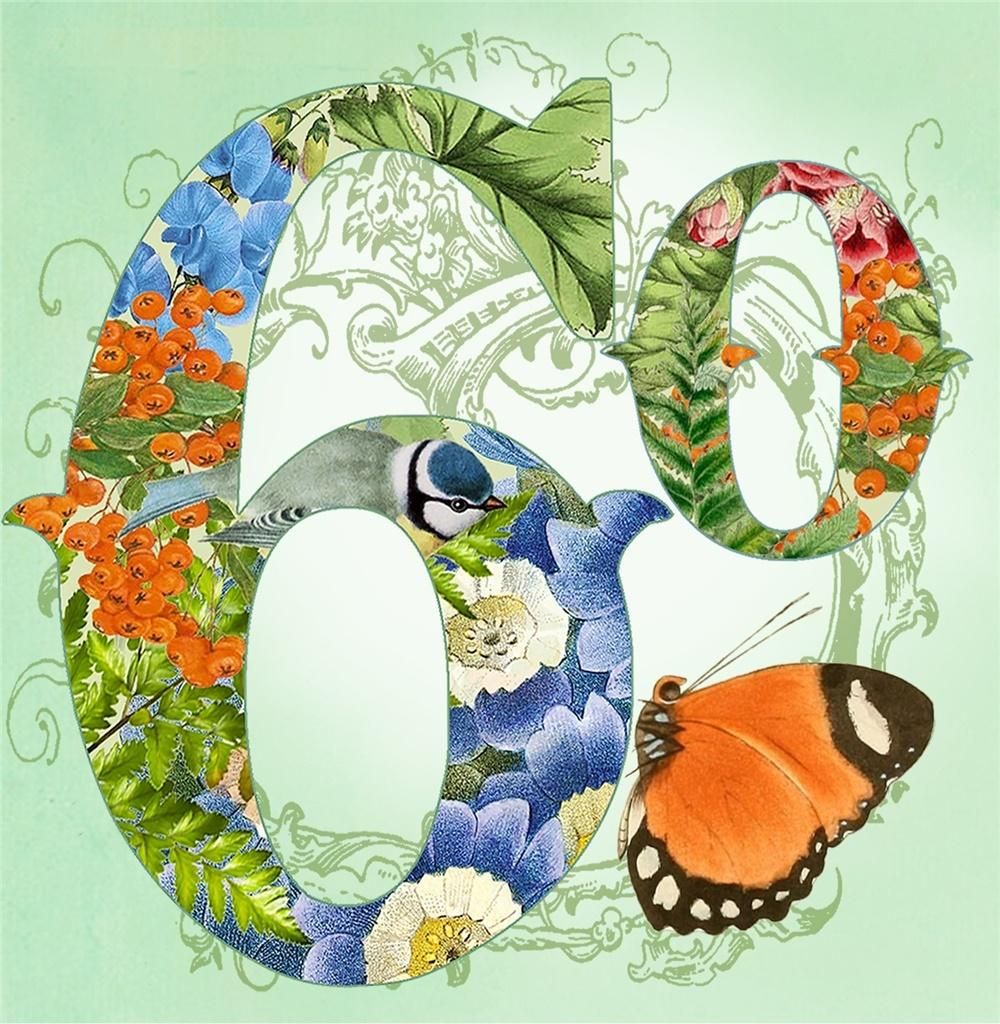 Madame Treacle Karnet kwadrat z kopertą Urodziny 60