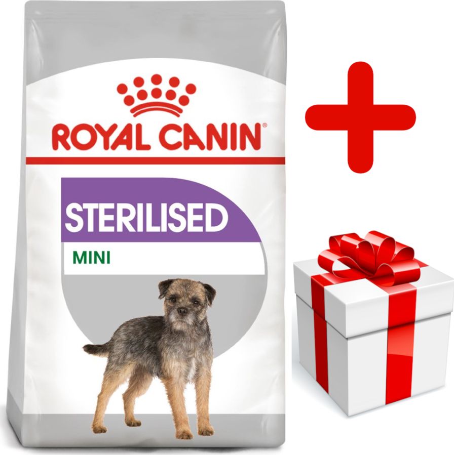 Royal Canin ROYAL CANIN CCN Mini Sterilised 8kg + niespodzianka dla psa GRATIS!