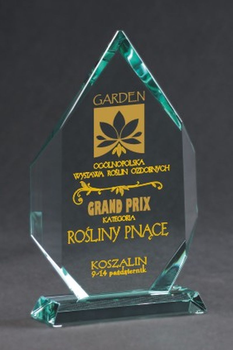 Victoria Sport Trofeum szklane grawerowane z etui +wypełnianie farbą