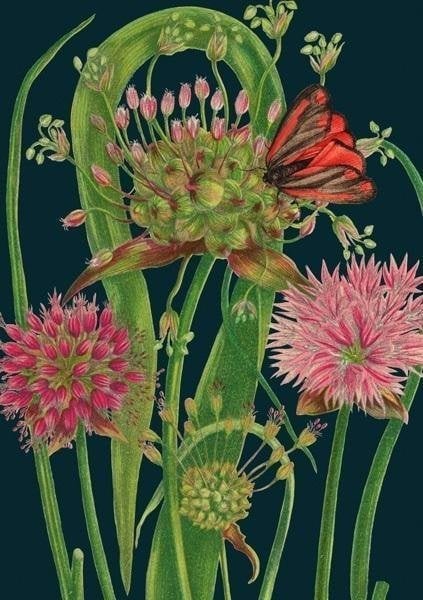 Madame Treacle Karnet B6 z kopertą Czosnek nocą