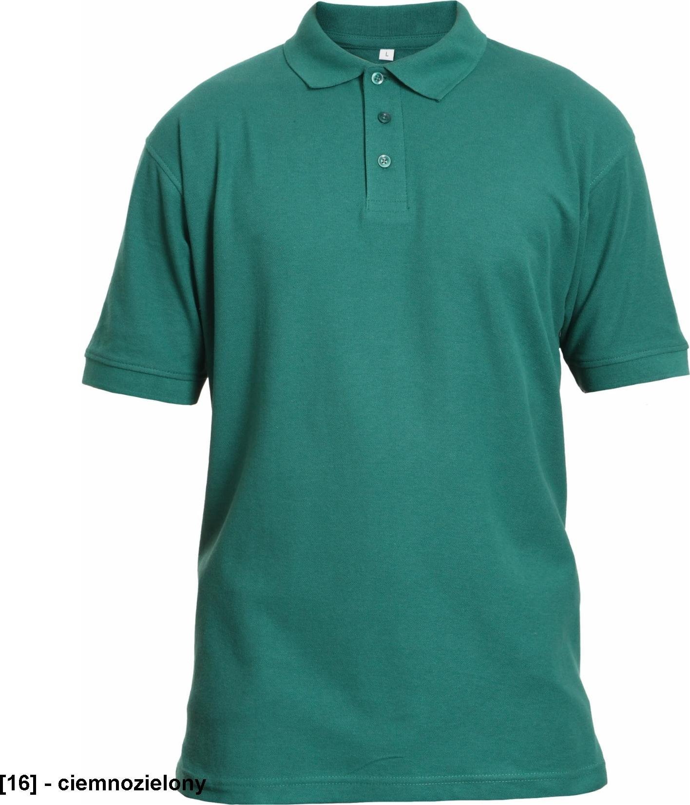 CERVA BANAR - koszulka polo - ciemnozielony 3XL