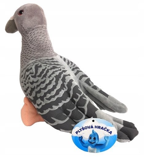*****Gałąb pluszowy 22cm 93776 37765