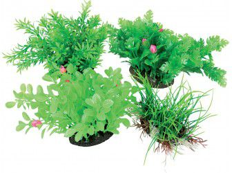 Zolux Napowietrzacz Aeroplant - M