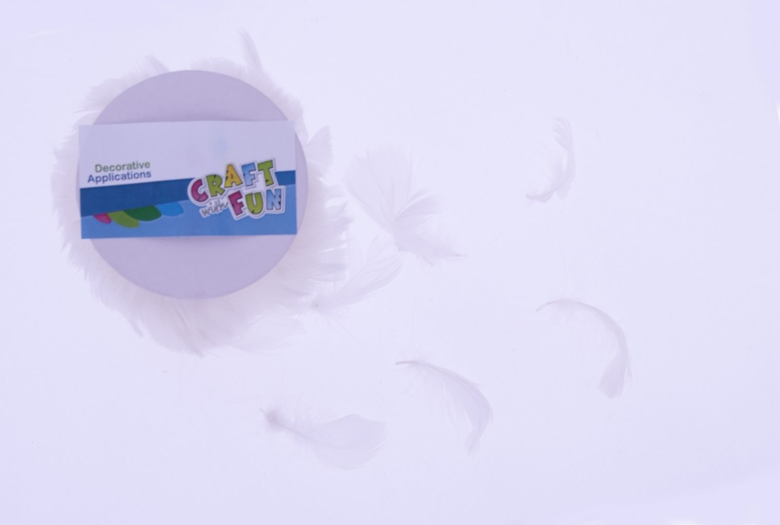 Craft with Fun CF OZDOBA DEK PIORKA NA ZYLCE 10M BIEL SZP 12/48