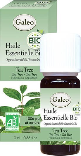 Galeo Olejek eteryczny BIO z drzewa herbacianego Galeo 10 ml