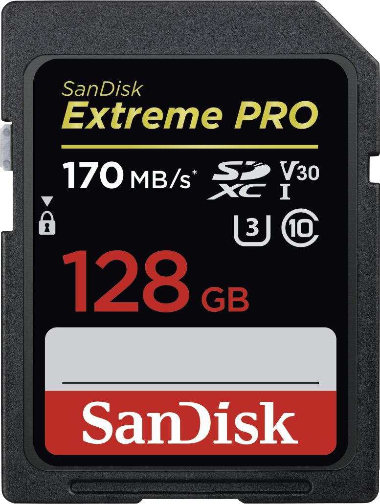 Karta SanDisk Extreme PRO SDXC 128 GB Class 10 UHS-I/U3 V30 (SDSDXXY-128G-GN4IN)