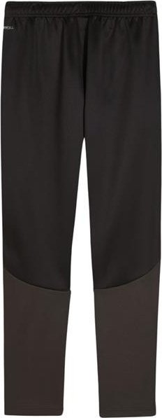 Puma Spodnie dla dzieci Team Goal Training czarne 658641 03 152cm