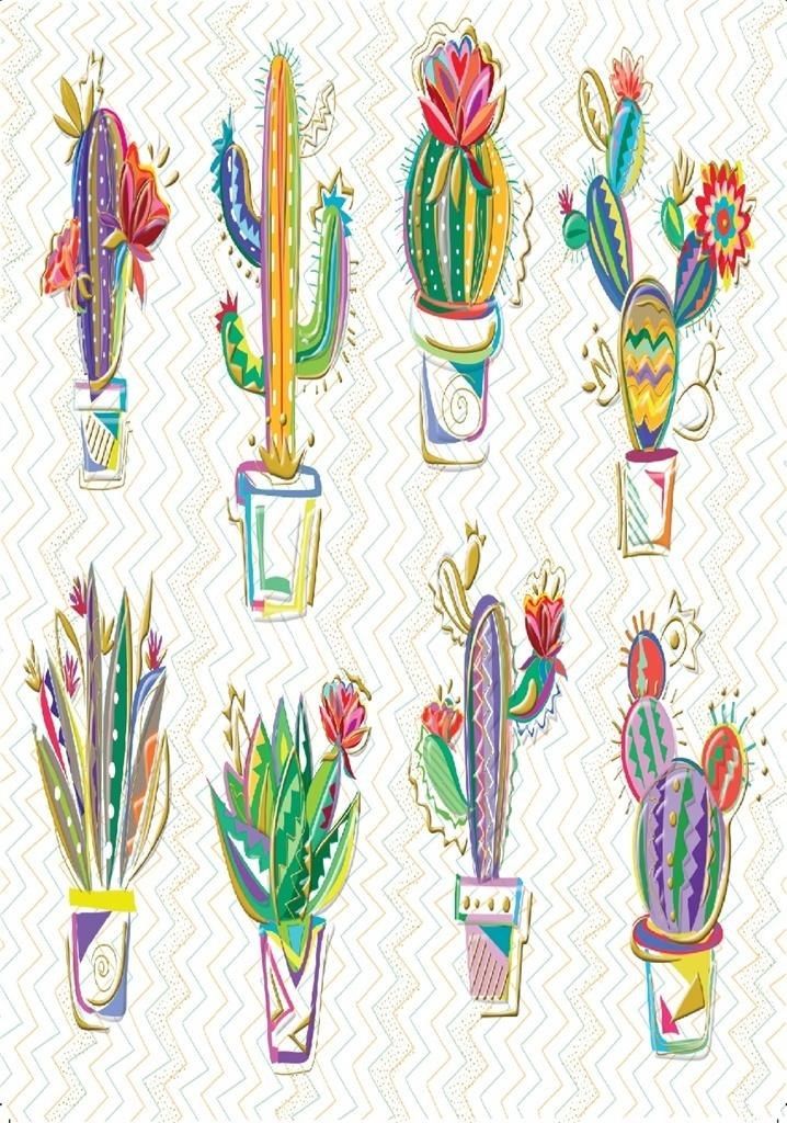 Turnowsky Karnet B6 + koperta Kaktusy