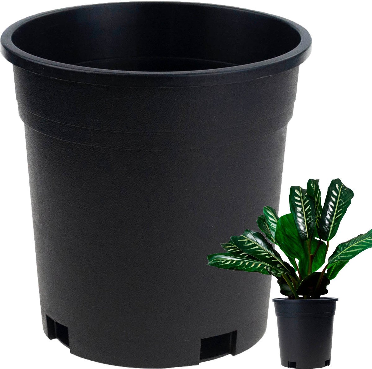 TG72940 DONICZKA PRODUKCYJNA WYSOKA P14 1,5L OKRĄGŁA ROZSADOWA Z RANTEM 14X14CM