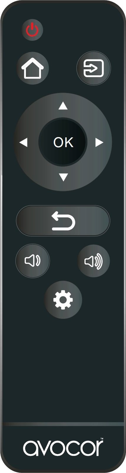 Pilot RTV Avocor Avocor - Fernbedienung