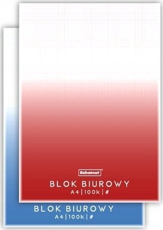 SCHEMAT Blok biurowy A4/100K kratka (5szt)