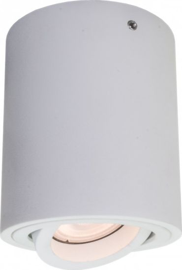 Lampa sufitowa Italux Lucia 1x40W (T8004R1-WH)