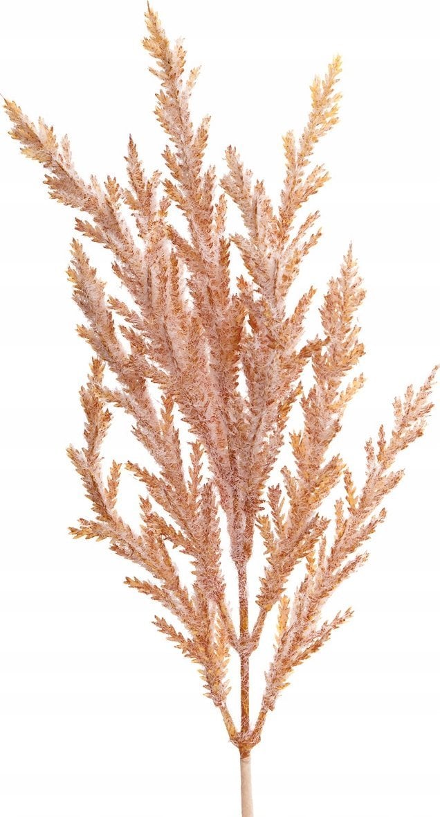 Gałązka trawy pampasowej kremowo-pudrowa 32cm