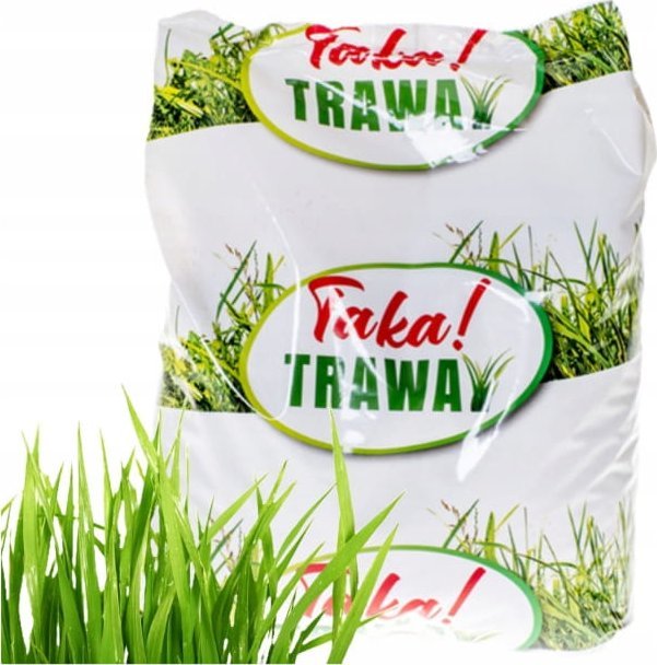 Planta Nasiona trawy 2 kg