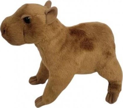 Kapibara 20cm