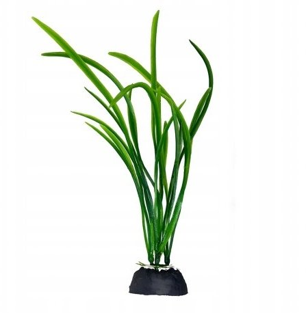 Aqua Natura, roślina, do dekoracji akwarium, zielona, plastikowa, 18 cm , trawa paskowa