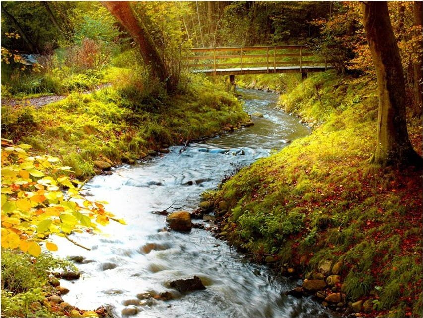 DecoNest Fototapeta - strumyk (wschód słońca) - 300X231