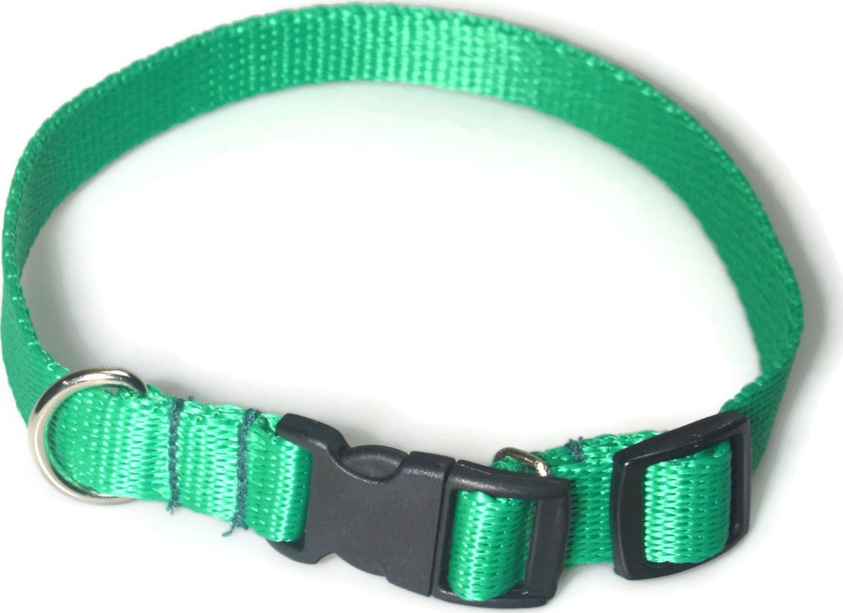 Alizoo Obroża dla średniego psa 16mm/24-42cm - ALIZOO