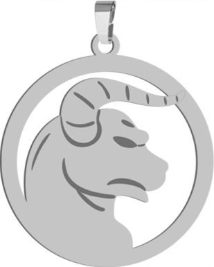 Radziszewska Jewellery Zawieszka Znak Zodiaku BYK srebro925 Dedykacja