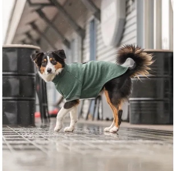 Trixie CityStyle Amsterdam sweatshirt, M: 50 cm, dark green