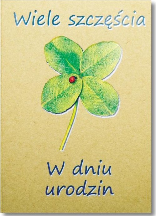 Trend KARNET B6 URODZINY EKO SILVER TS147