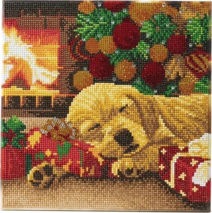 ML Epee Obraz Crystal Art Pies Śpiący Labrador