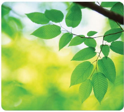 Podkładka Fellowes Earth Series, Liście (5903801)