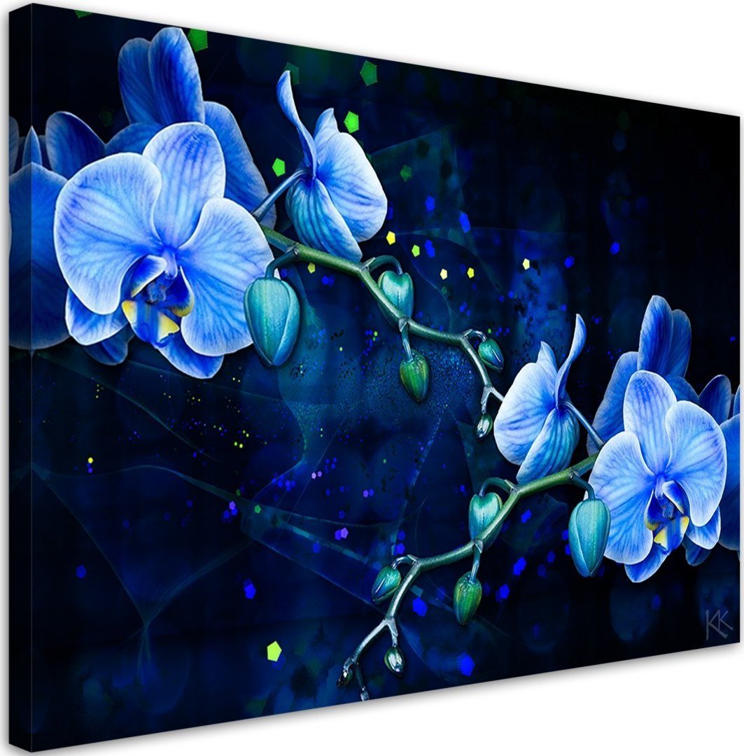 Feeby Obraz na płótnie, Niebieski kwiat orchidei - 120x80