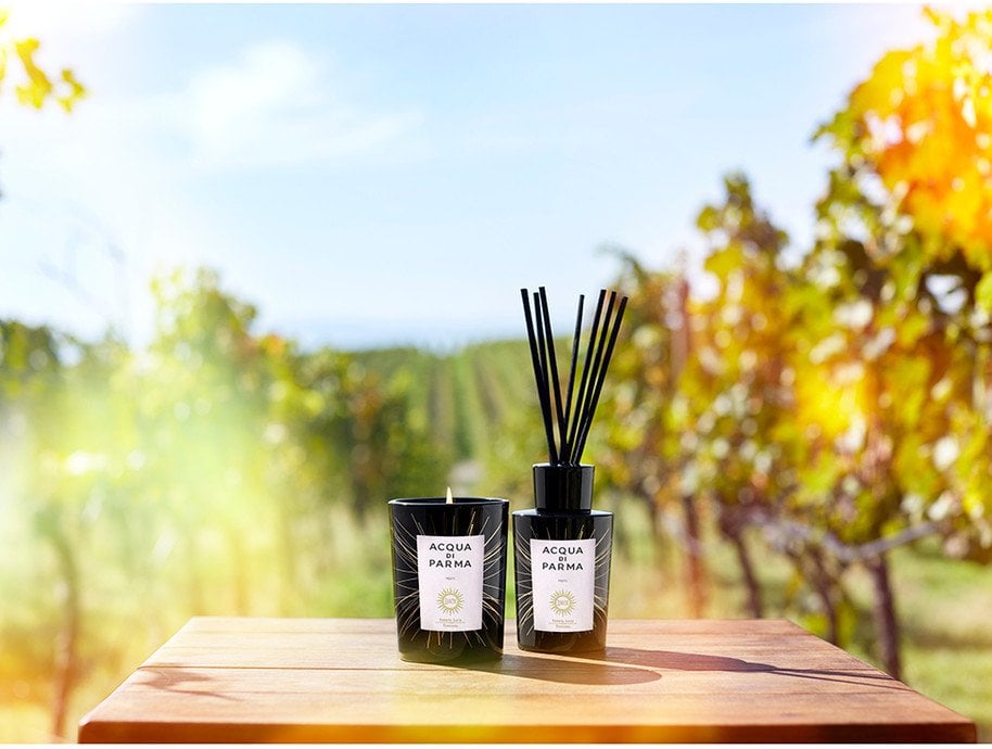 ACQUA DI PARMA Meets Luce Tenuta Luce Toscana dyfuzor zapachowy z patyczkami 180ml