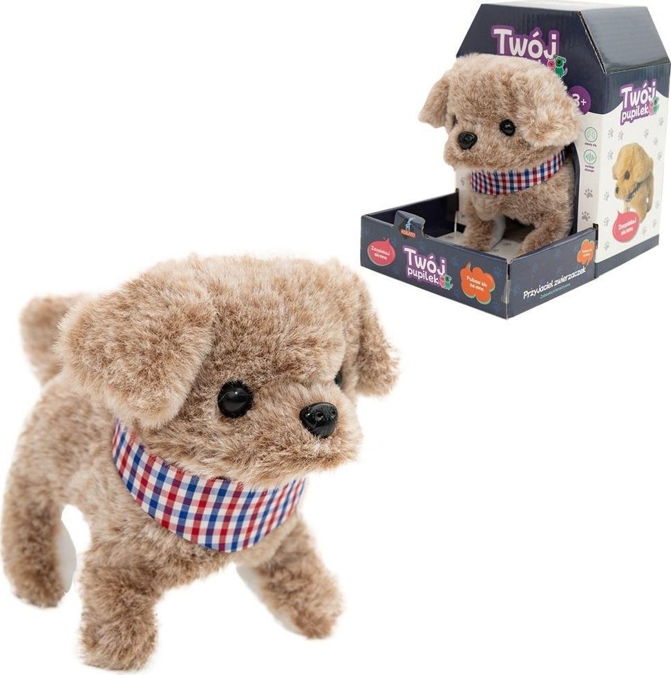 Twój pupilek piesek