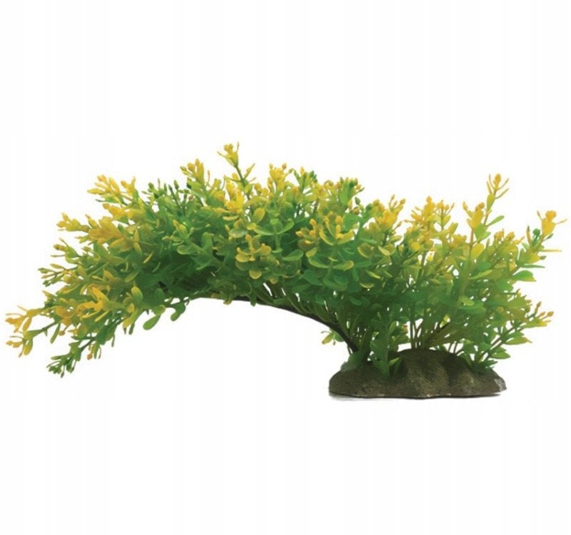 Aqua Natura, ro�lina, do dekoracji akwarium, zielona, plastikowa, 23 cm , rozlegla ro�lina na w�skiej podstawce, ��tawe ko�c�wki li�ci