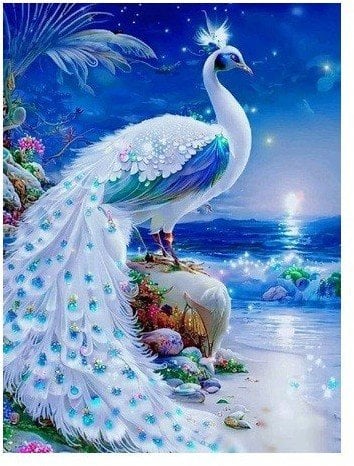 Norimpex Diamentowa mozaika Paw biały na szafirowym wybrzeżu 30x40cm 2000403