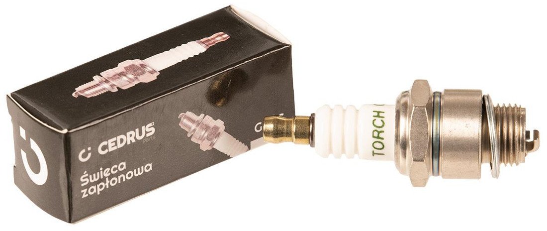 Świeca Zapłonowa Cedrus Gl2C Do Kosiarek 10 Szt. W Opakowaniu Cedsw003