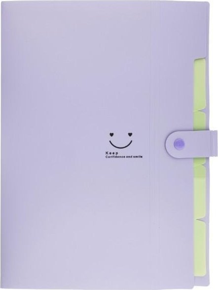 Teczka plastikowa A4 z 5 przegródkami fioletowa