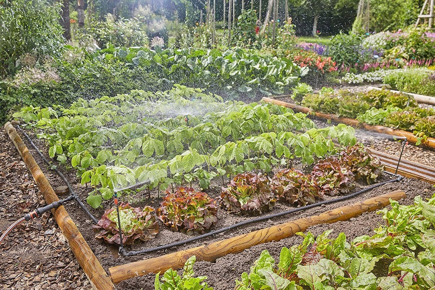 Gardena GARDENA Micro-Drip-System drip irrigation set vegetable/flower bed 60m2, dripper (black/grey, model 2023)