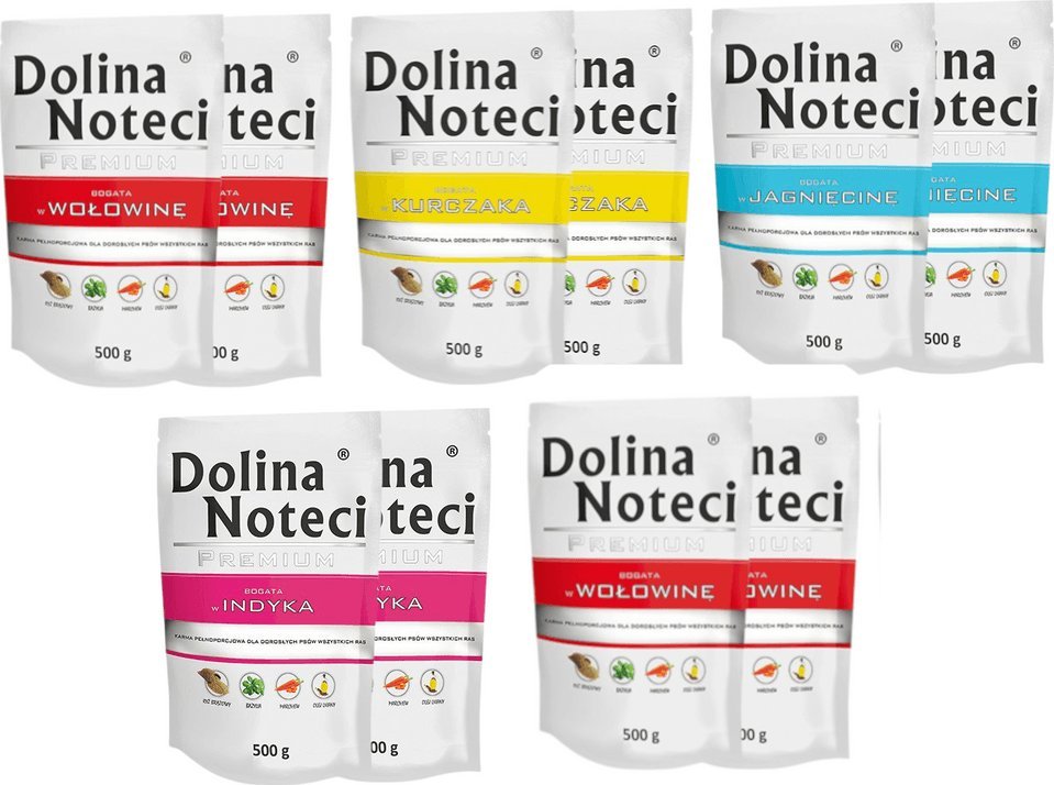 Dolina Noteci Dolina Noteci PREMIUM MIX Smaków 10x500g