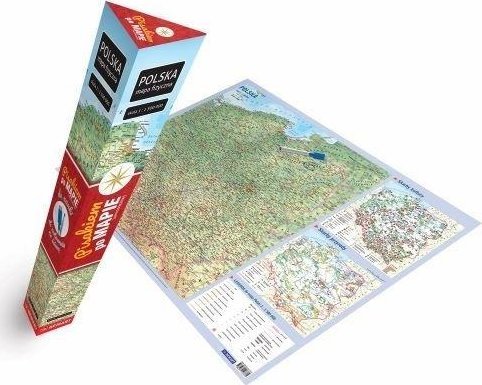 Demart Mapa Polska fizyczna (plakat)