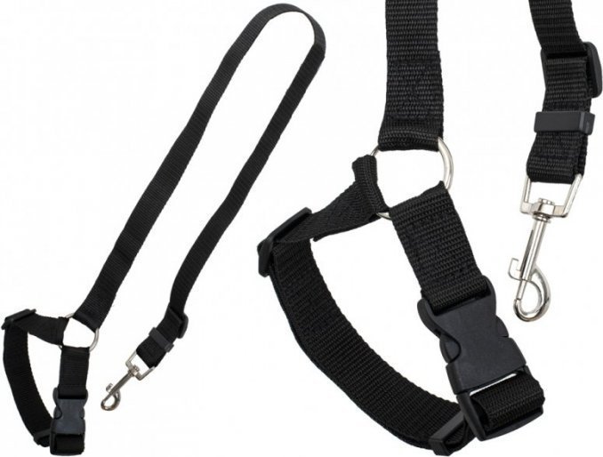 Smycz samochodowa pasy bezpieczeństwa dla psa kota