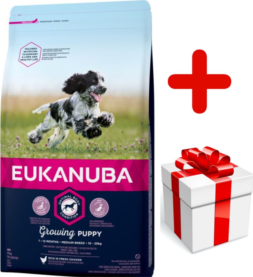 Eukanuba Eukanuba puppy&junior medium breed 15kg + niespodzianka dla psa GRATIS!
