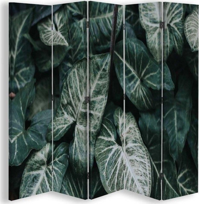 Feeby Parawan dwustronny, Zielone liście w skali makro - 180x170