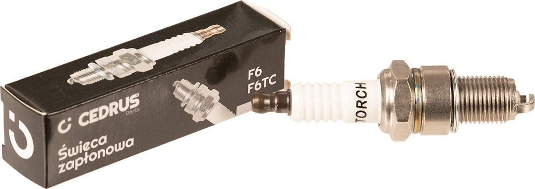 NGK Świeca Zapłonowa Cedrus F6Tc Honda 10 Szt. W Opakowaniu Cedsw002