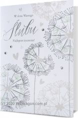 Pan Dragon Kartki karnet B6 HM 200-2079 Ślub Pan Dragon