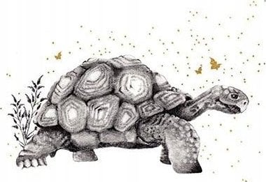 Teka Karnet Złocony kwadrat CL3820_BL Żółw