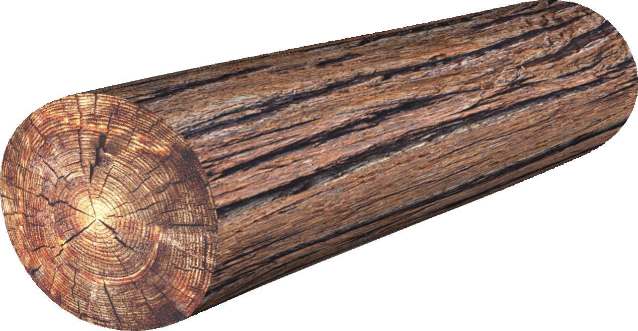 Bertoni-arco Poduszka Wałek - Akacja 16x55 cm