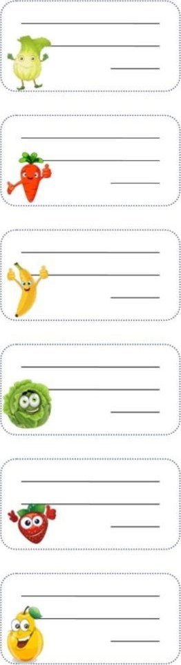 Nalepki na zeszyt NSN10